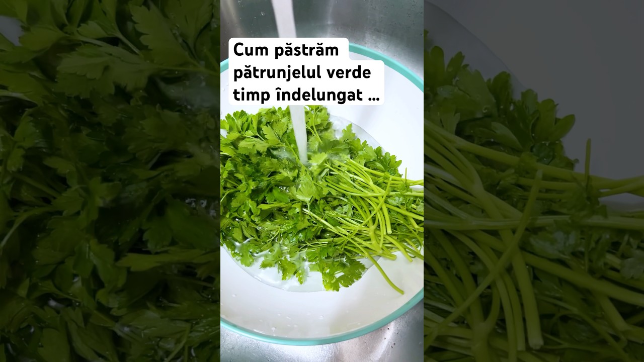 Cum păstrăm pătrunjelul verde 🌿 timp &icirc;ndelungat &hellip;