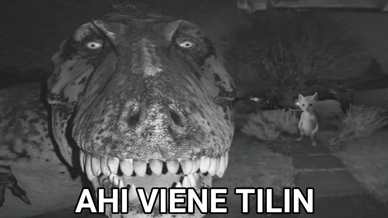 Shitpost Compilation V7