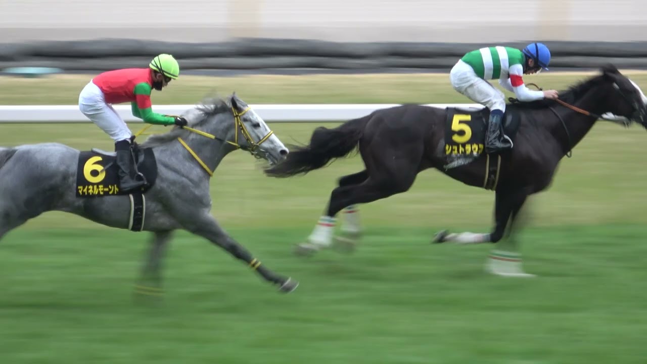 【白富士ステークス2025】 シュトラウスが押し切り久々の勝利‼ 現地映像