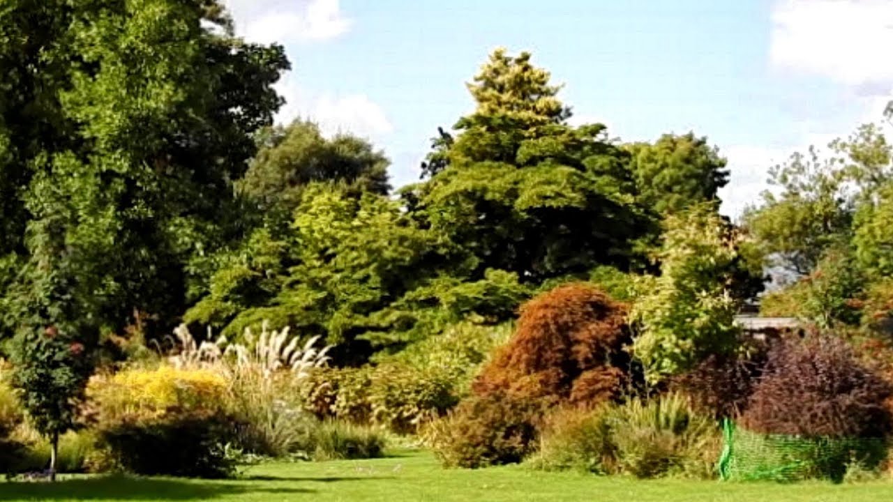 Ness Botanic Gardens Part One