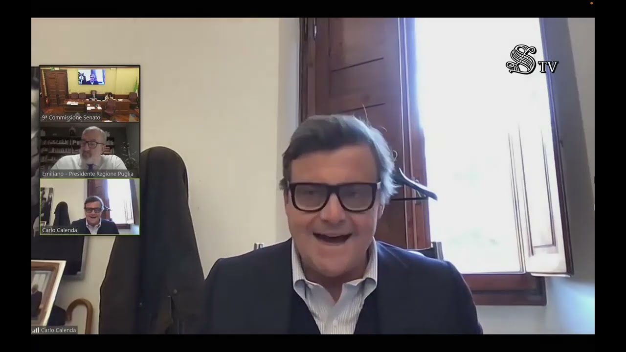 CARLO CALENDA INTERVIENE SULLA QUESTIONE ILVA IN COMMISSIONE INDUSTRIA DEL SENATO