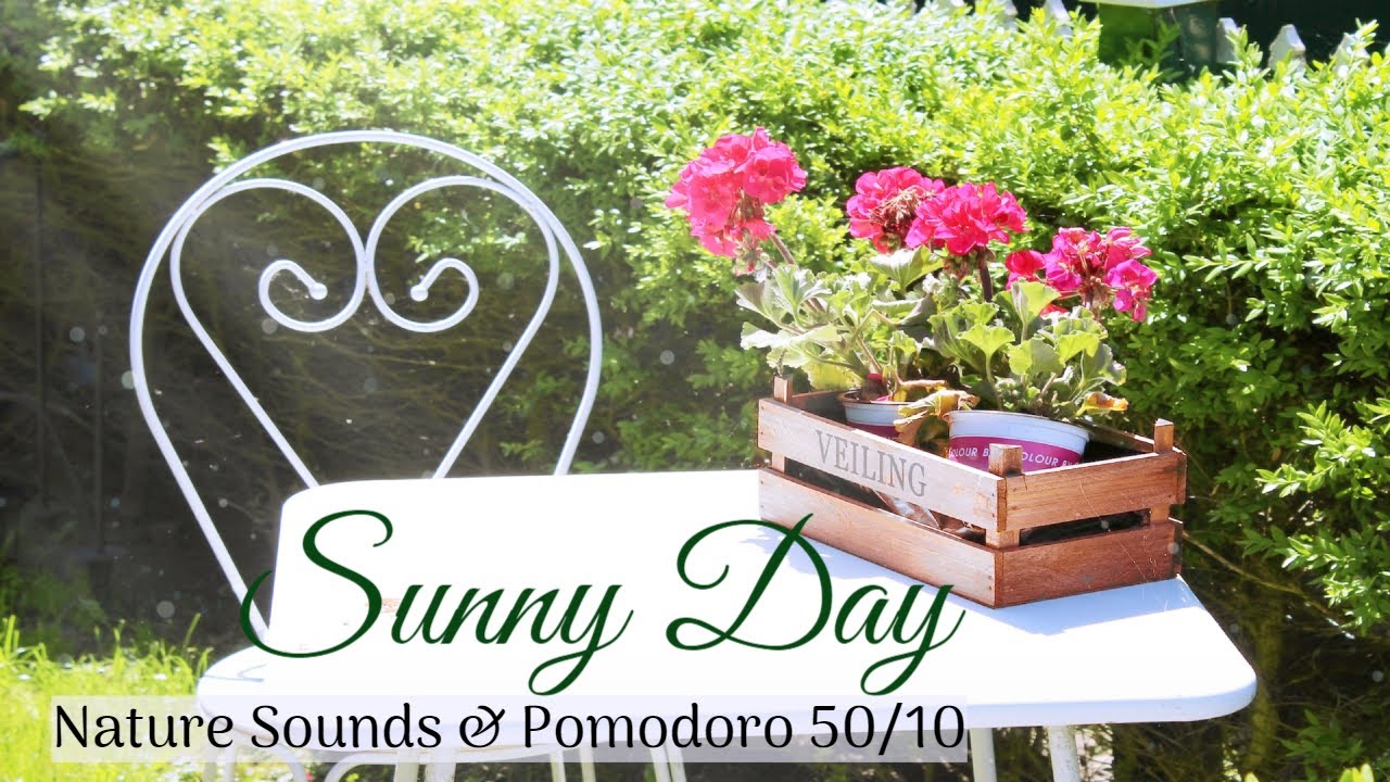 SUNNY GARDEN Ambience | POMODORO 50/10 Study Session | Nature Sounds
