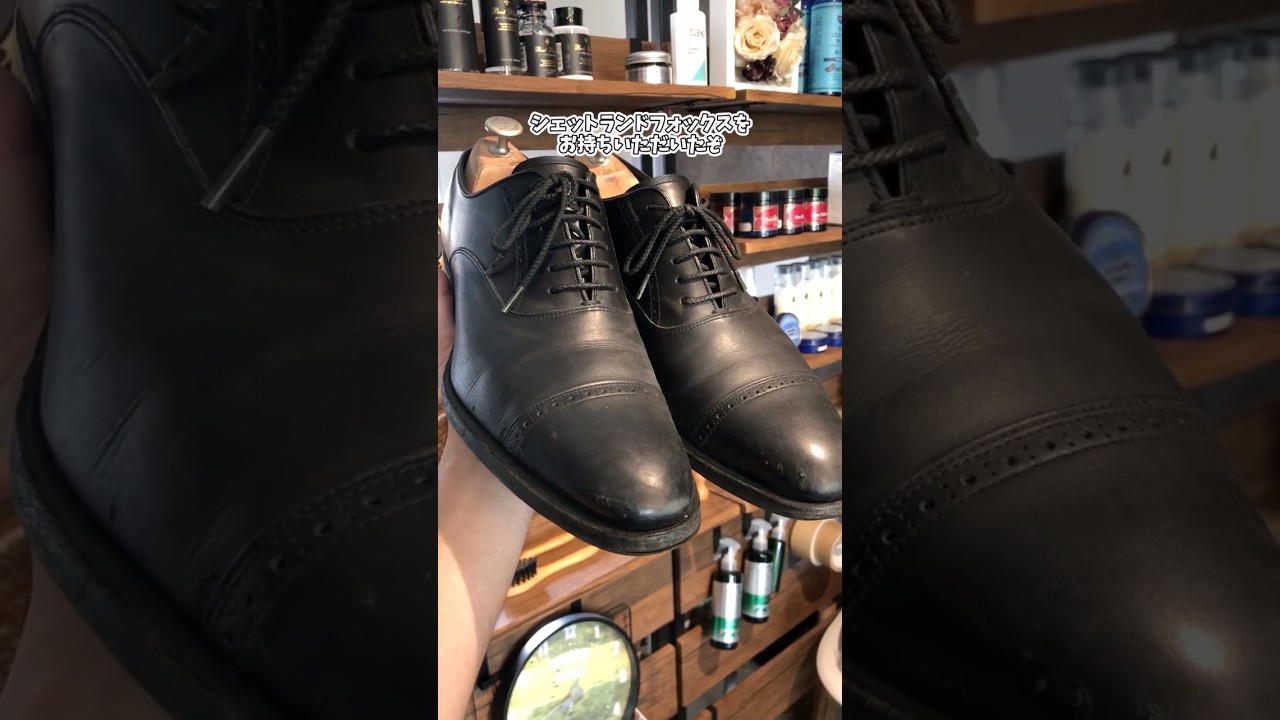 Shetland Fox #shoe shine