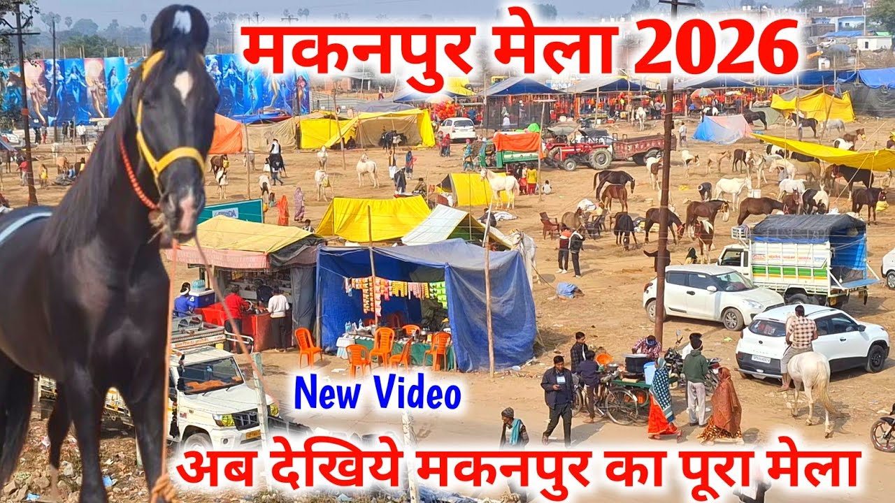 मकनपुर मेला 2026 New Video |Makanpur mela 2026 |Makanpur mela Horse Market |Makanpur mela 