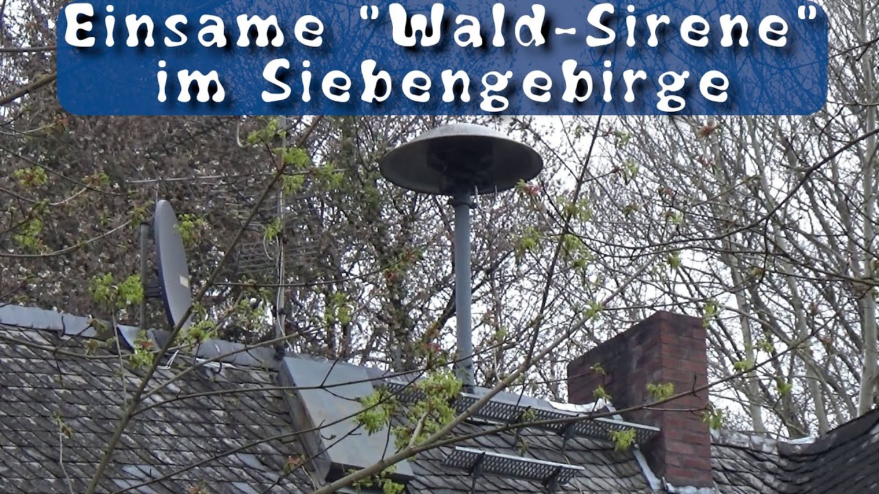 Atemberaubender Sirenenalarm 