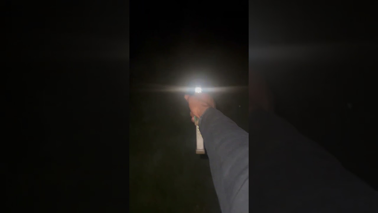 Glock 19x with a switch #shorts #switch #guns