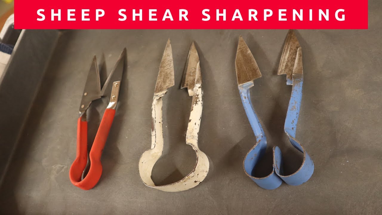 Один из этих ножниц для стрижки овец не прошёл тест на резку