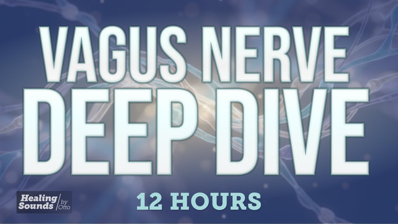 Vagus Nerve Deep Dive 🌫️ | Stop the "Wired but Tired" Cycle (12 Hours Black Screen)
