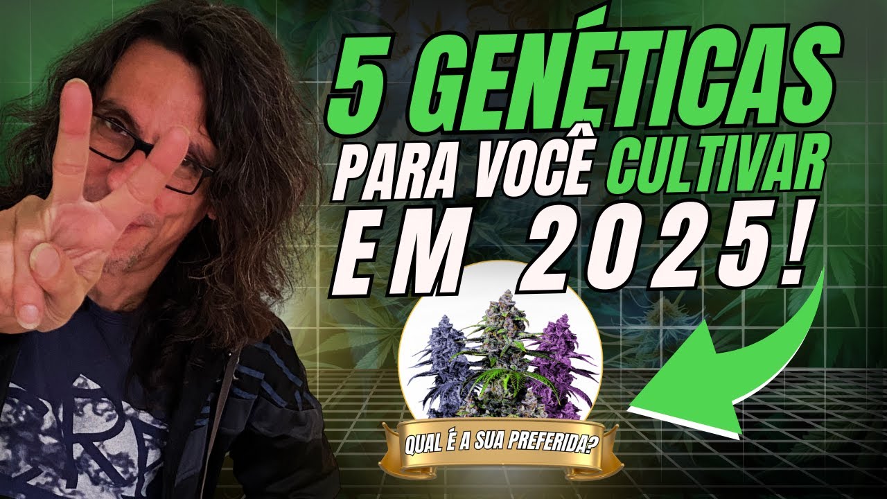 As 5 Gen&eacute;ticas Lend&aacute;rias que Voc&ecirc; PRECISA Conhecer AGORA!