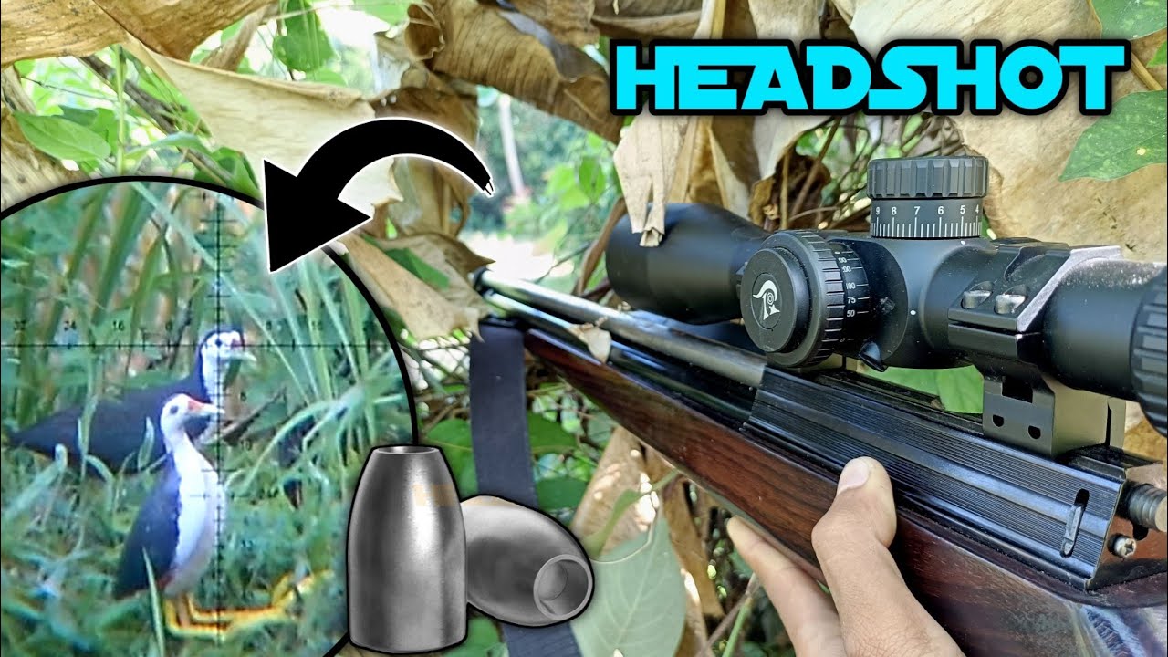 BERBURU RUAK-RUAK‼️ Kita coba headshot setelah bidik dada gak langsung tumbang