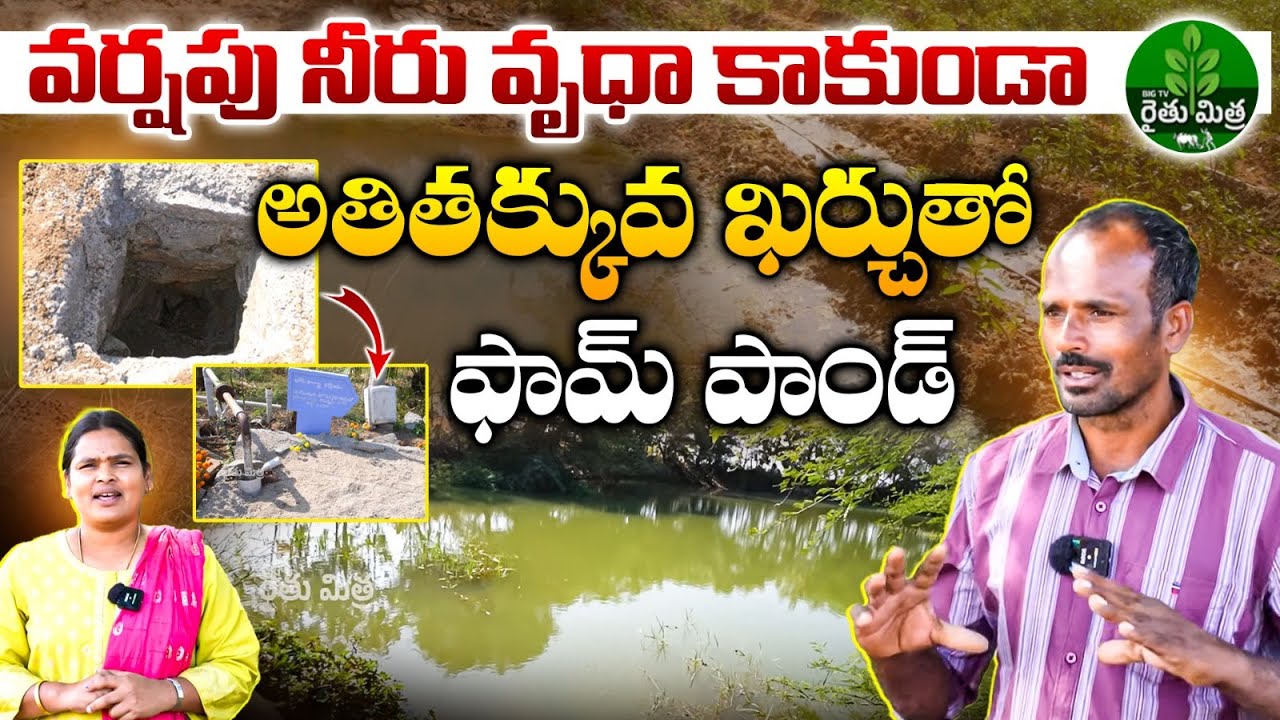 Best Rain Water Harvesting Model | పడే ప్రతి చినుకు పొలంలోనే | Rain Water Harvesting Pond | BIG TV