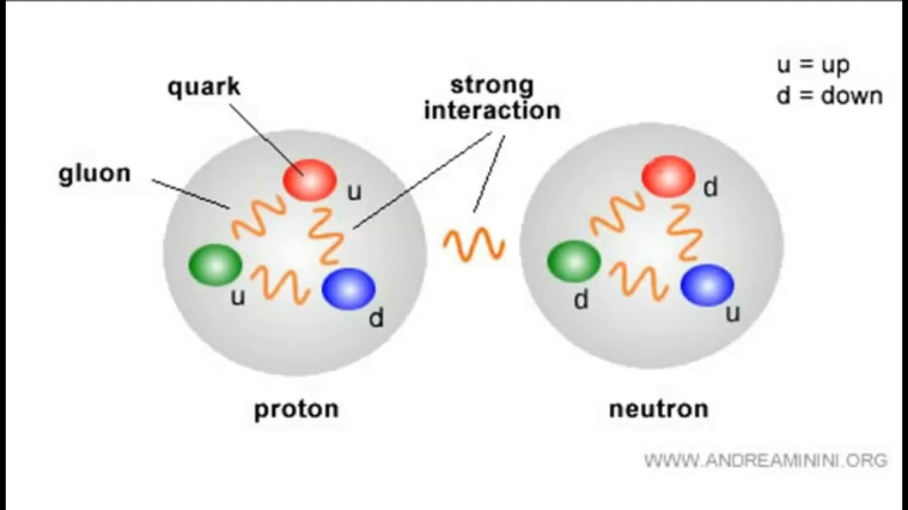 ⚛️ Quarks et Leptons en 5 minutes&hellip; les deux familles fondamentales de la mati&egrave;re ✨