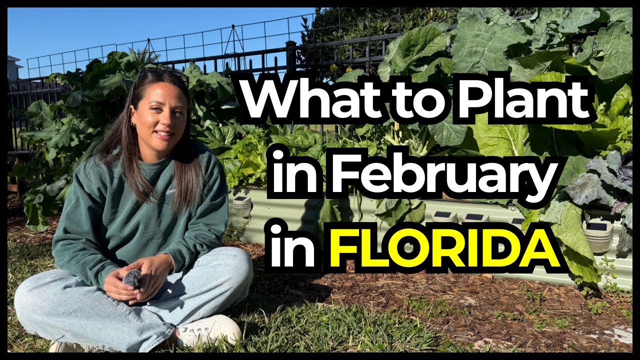 What to Plant in February in Florida | Vegetables, Herbs & Flowers