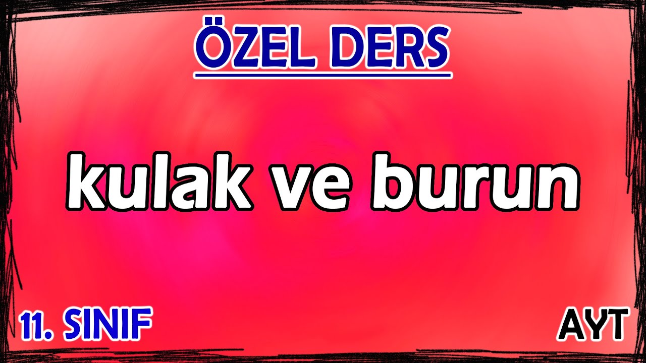 11) Duyu Organları - Kulak ve Burun - Özel Ders (11. Sınıf)