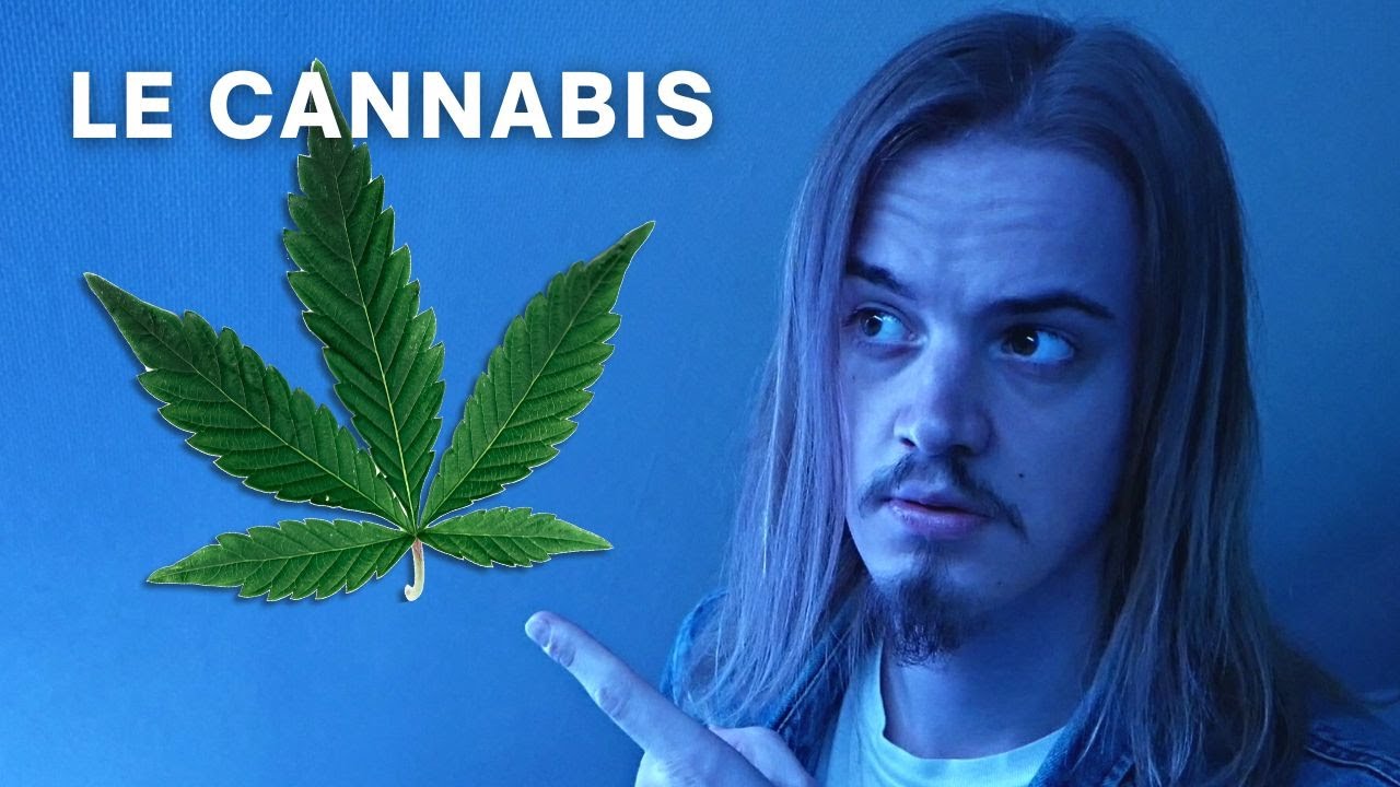 ASMR | 10 faits sur le CANNAB*S 🌿