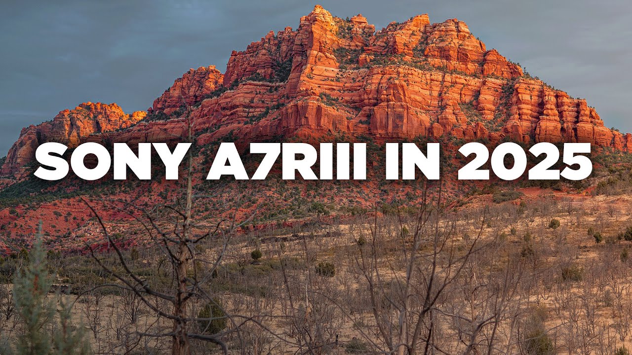 Стоит ли покупать Sony A7RIII в 2025 году?