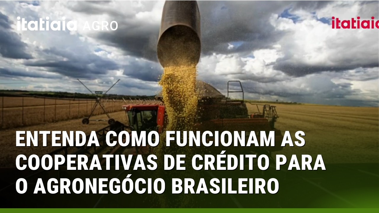 COOPERATIVISMO DE CRÉDITO SE MOSTRA ESSENCIAL PARA O AGRO BRASILEIRO! ENTENDA!