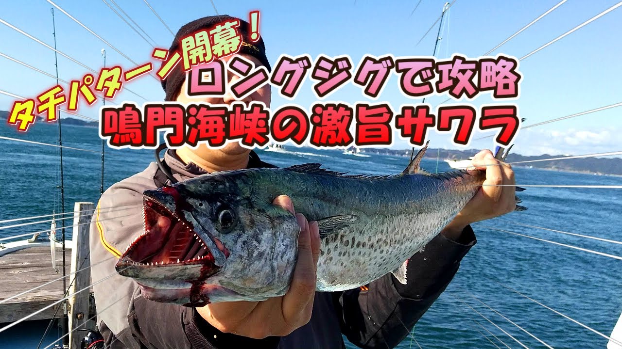 【鳴門海峡でサワラ】タチウオパターン開幕♪