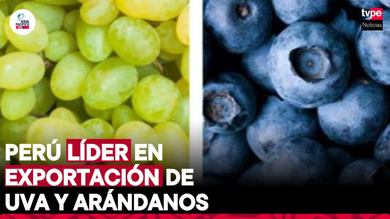 Perú lidera exportación mundial de arándanos y uva  | 