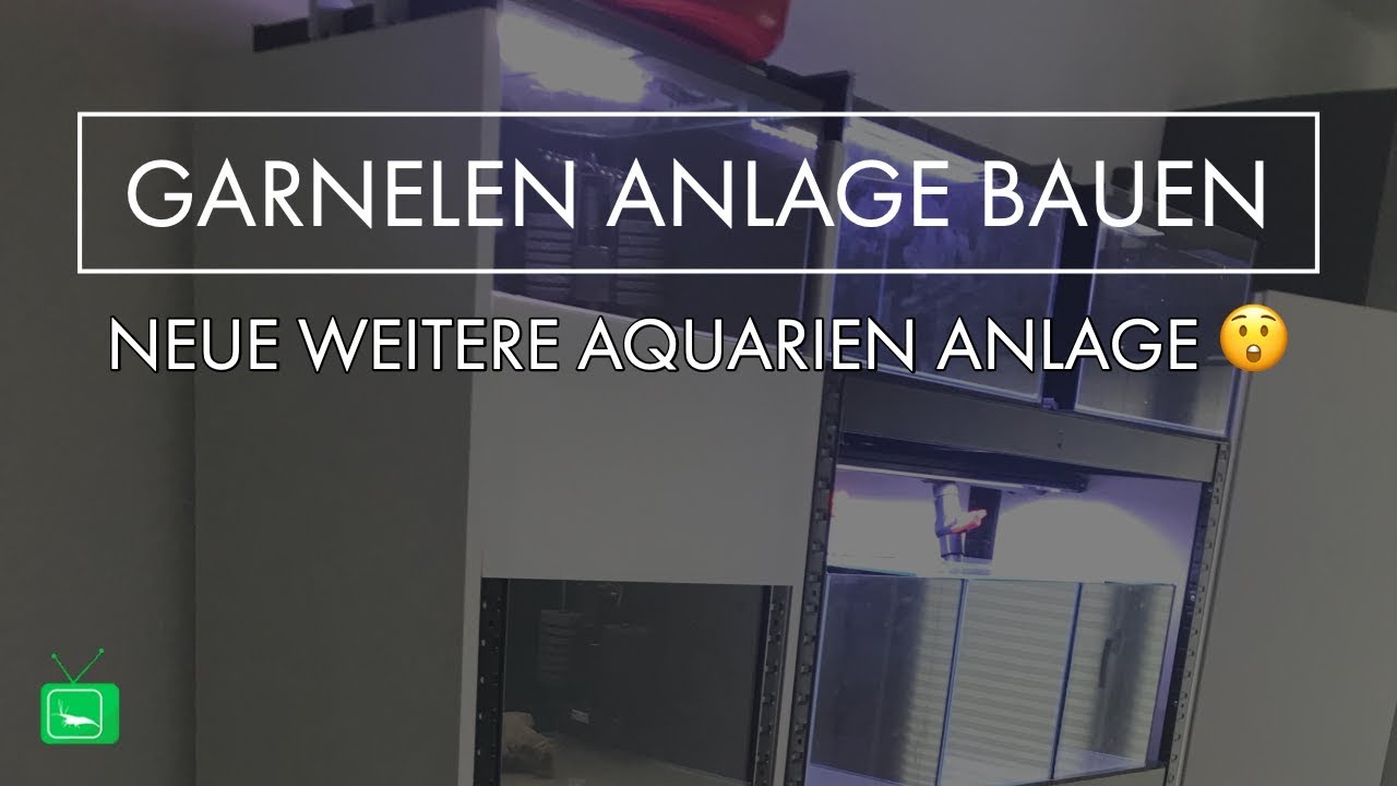 GARNELEN ANLAGE BAUEN | GarnelenTv