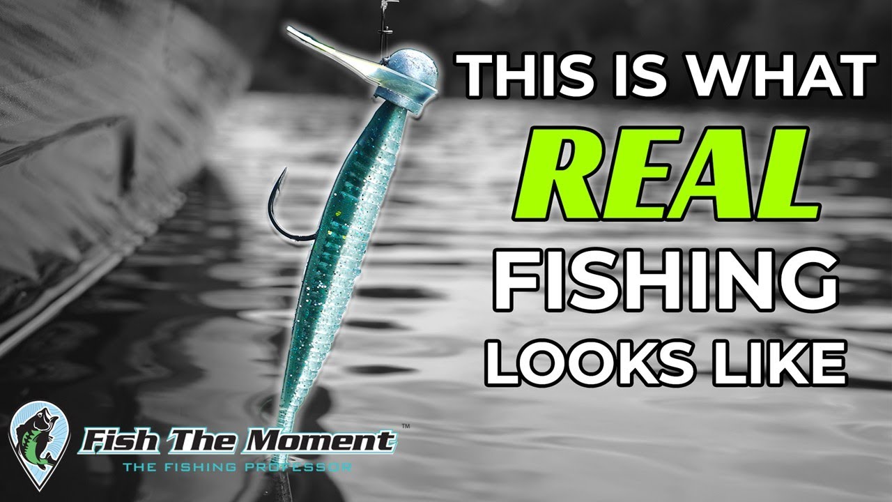 This Bait Is Winning Tournaments Again After 10 Years In Hiding!