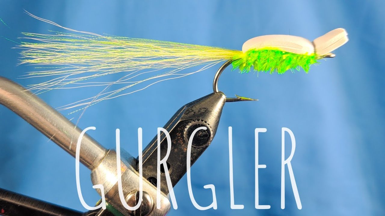 Gurgler - Mouche à bar rayé et prédateur