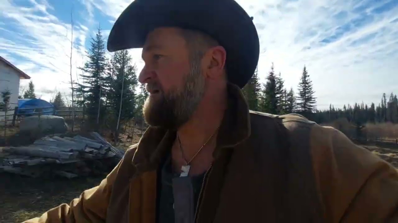 Goat TV and learning to ride a horse