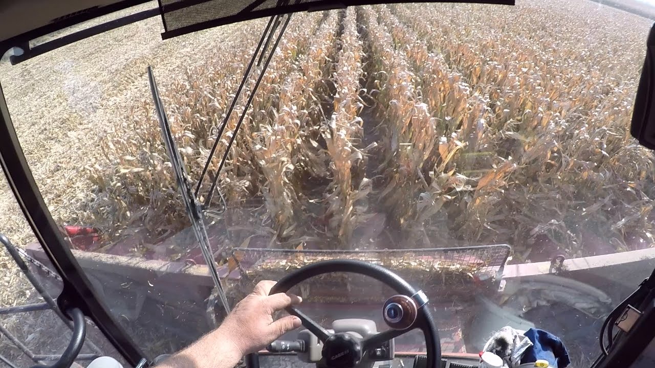 Case IH 9120 AxialFlow + 12 Line Adapter | Cabine View Timelapse |POV DRIVE| GoPro | Agriculture