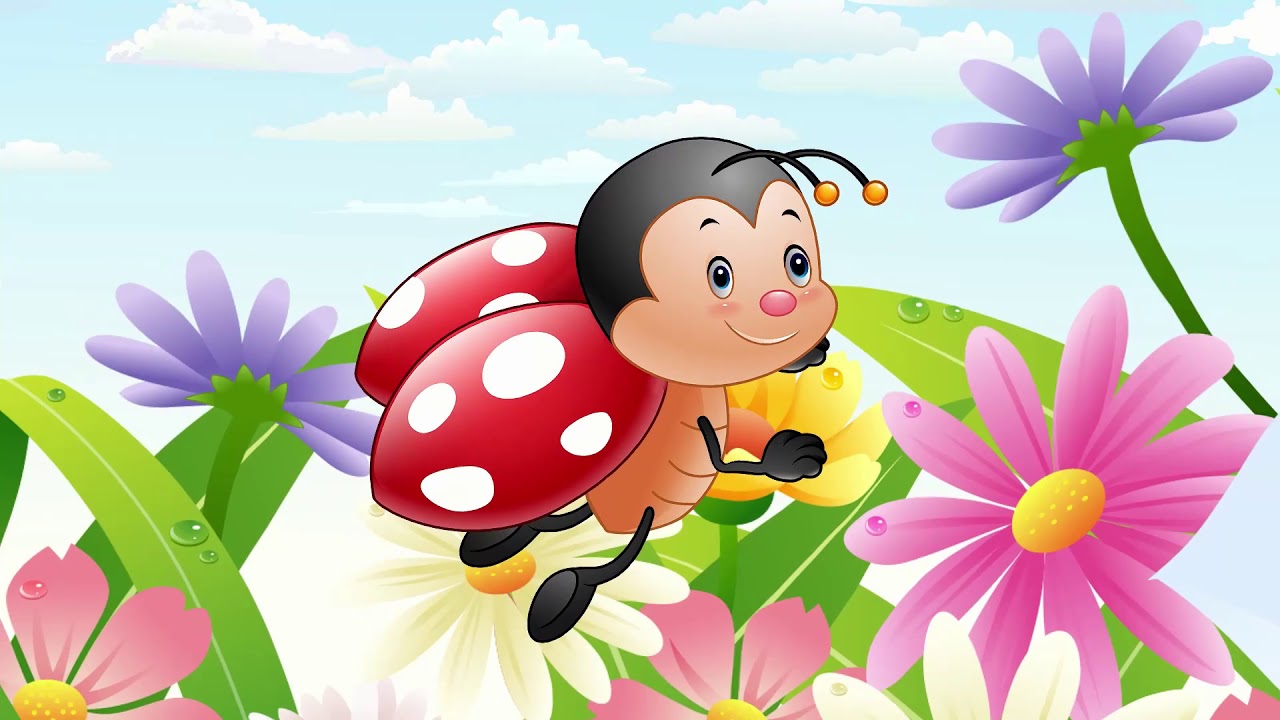 Coccinelle Demoiselle (Comptine pour enfant)