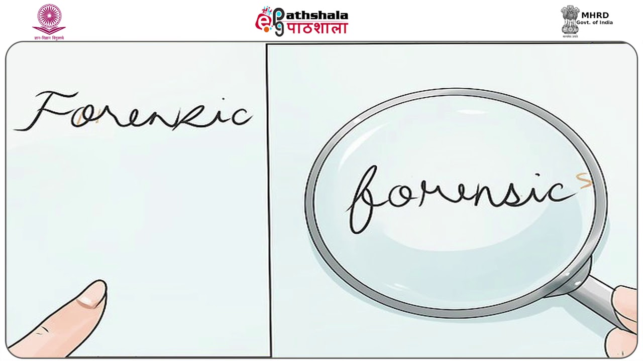 History of the Questioned Document Examination and Classification of Documents