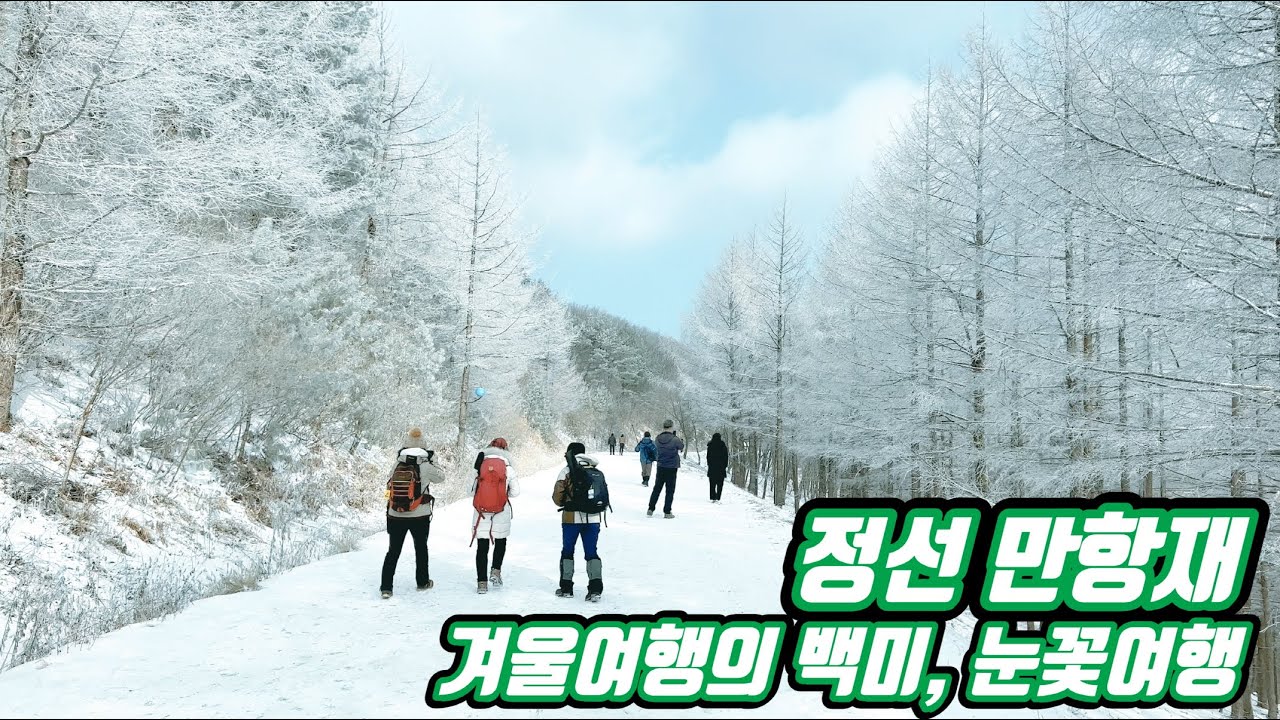 [정선 가볼만한곳] 겨울 여행의 백미 정선 만항재로 떠나는 눈꽃여행