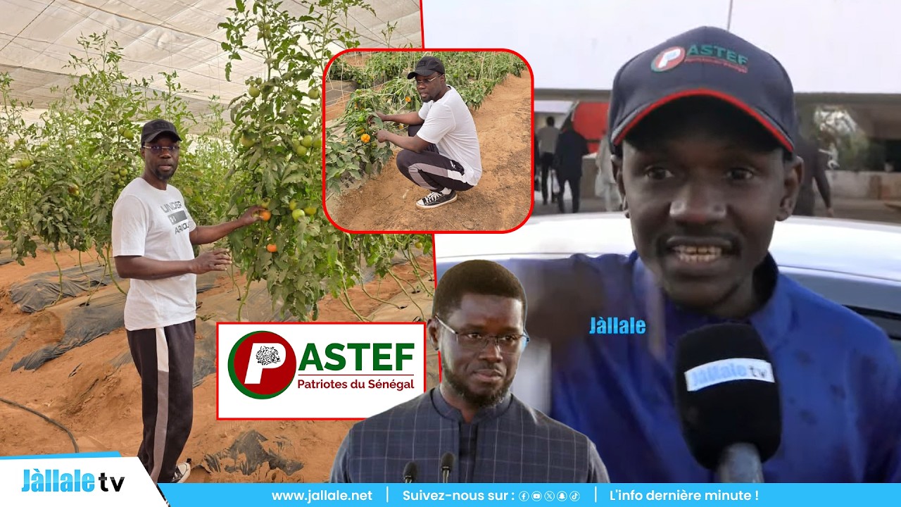 « Bi Diomaye waxé, Sonko dafa dem ci tool yi pour… » : Lamignou Darou balance un fait inédit du PM
