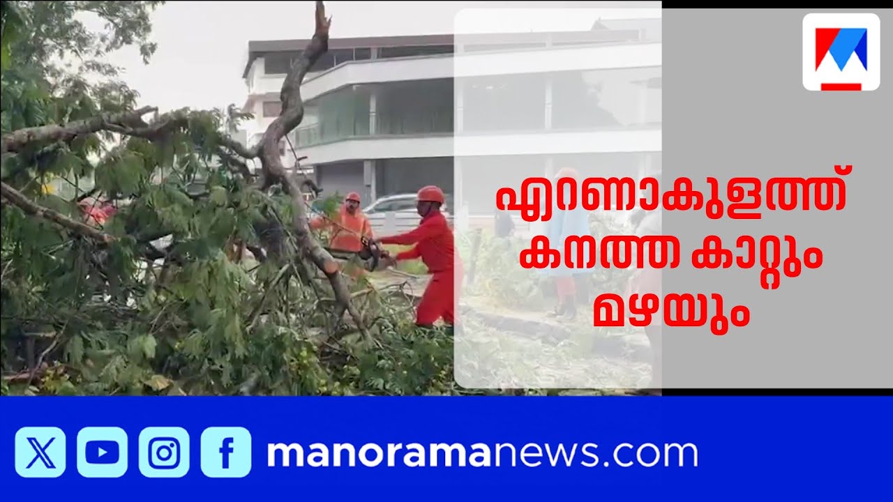 എറണാകുളത്ത് കനത്ത മഴയിലും കാറ്റിലും വ്യാപക നാശം | Ernakulam | Rain