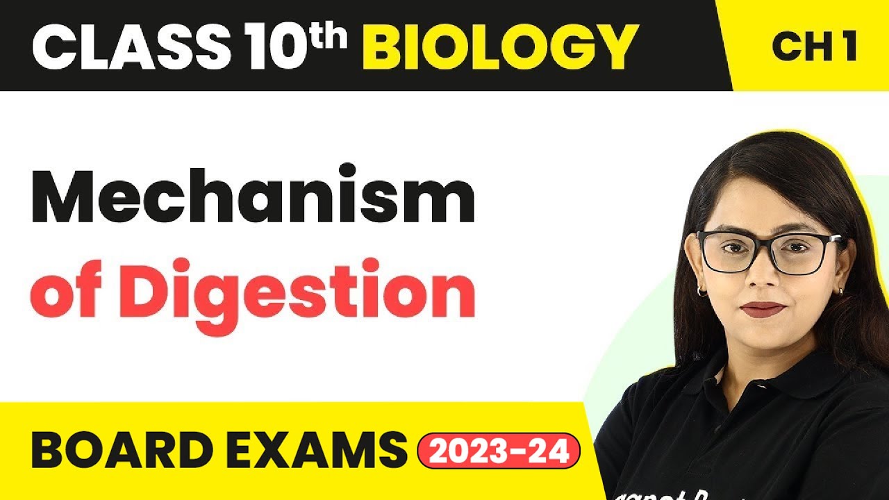 Mechanism of Digestion - Life Process | Class 10 Biology