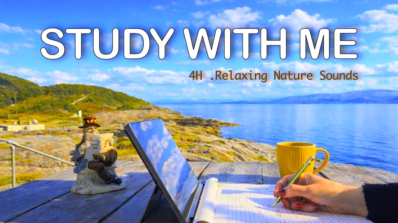 4-HOUR STUDY WITH ME Sunny Day in Nature | 🍃 Relaxing Nature Sounds | Pomodoro 50/10
