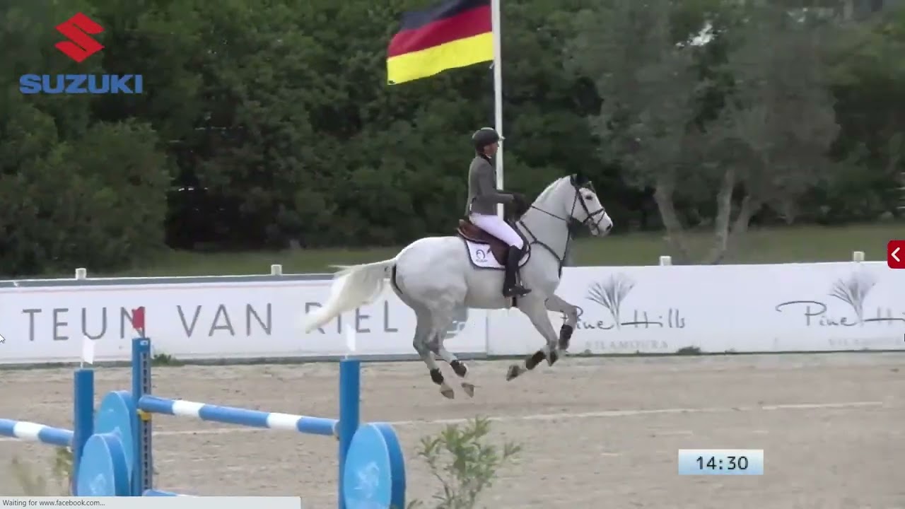 Young Horse Vilamoura GP - Celine Schoonbroodt- De Azevedo & Clinto T Z (Clintissimo Z x Indoctro)