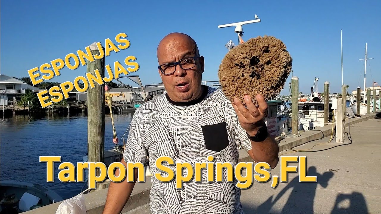 Tarpon Springs, FL/ Sponge Docks / Muelle de la Esponja