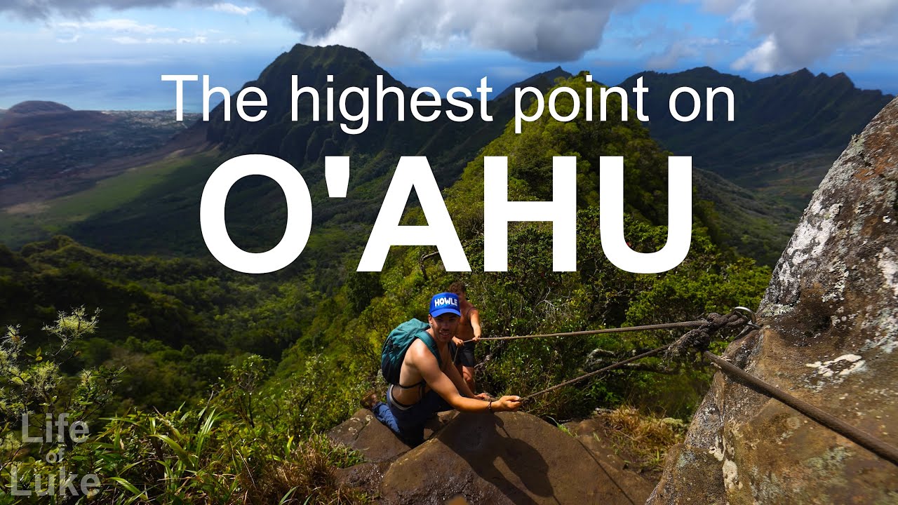 Raw and Rugged: Mount Ka'ala, O'ahu