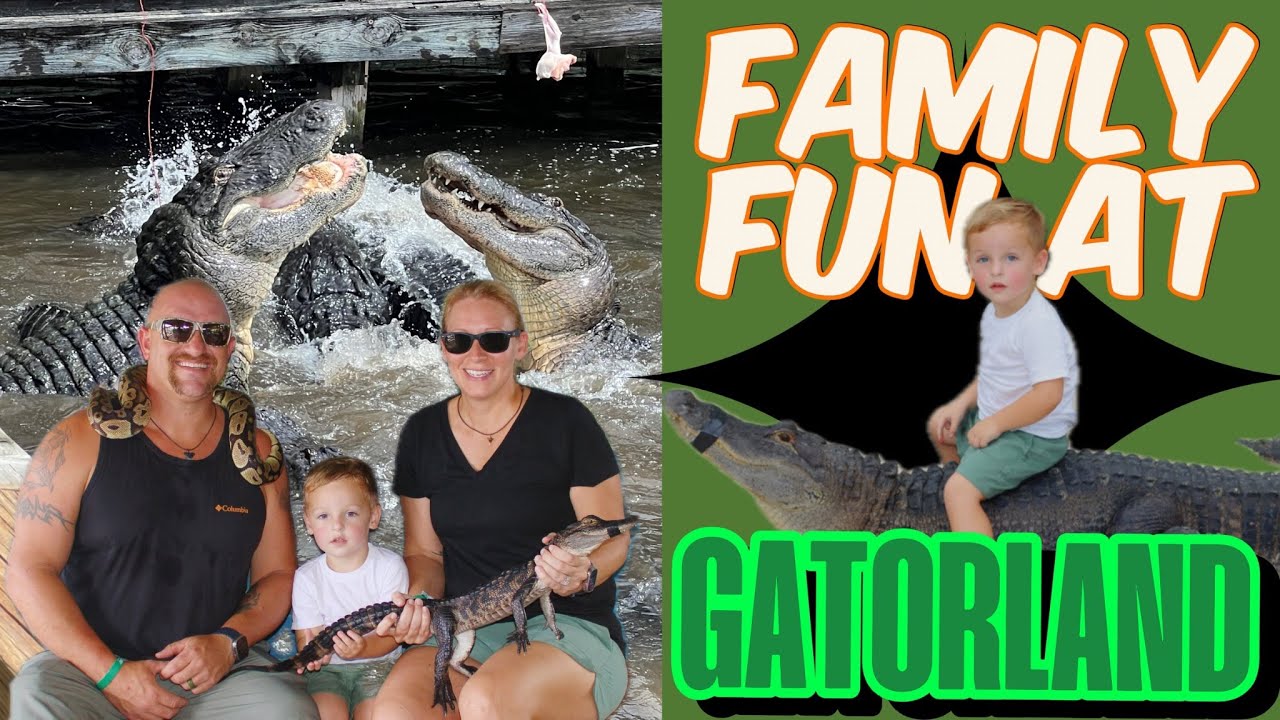 🐊 Семейный отдых в Gatorland Orlando! Кормление аллигаторов, подержание змей в руках и встреча с ...