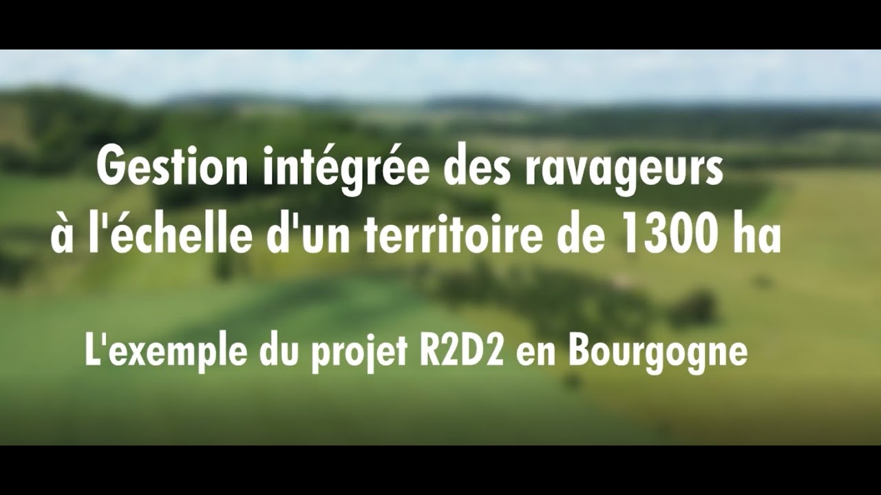 Gestion intégrée des ravageurs à l'échelle d'un territoire : l'exemple du projet R2D2 en Bourgogne