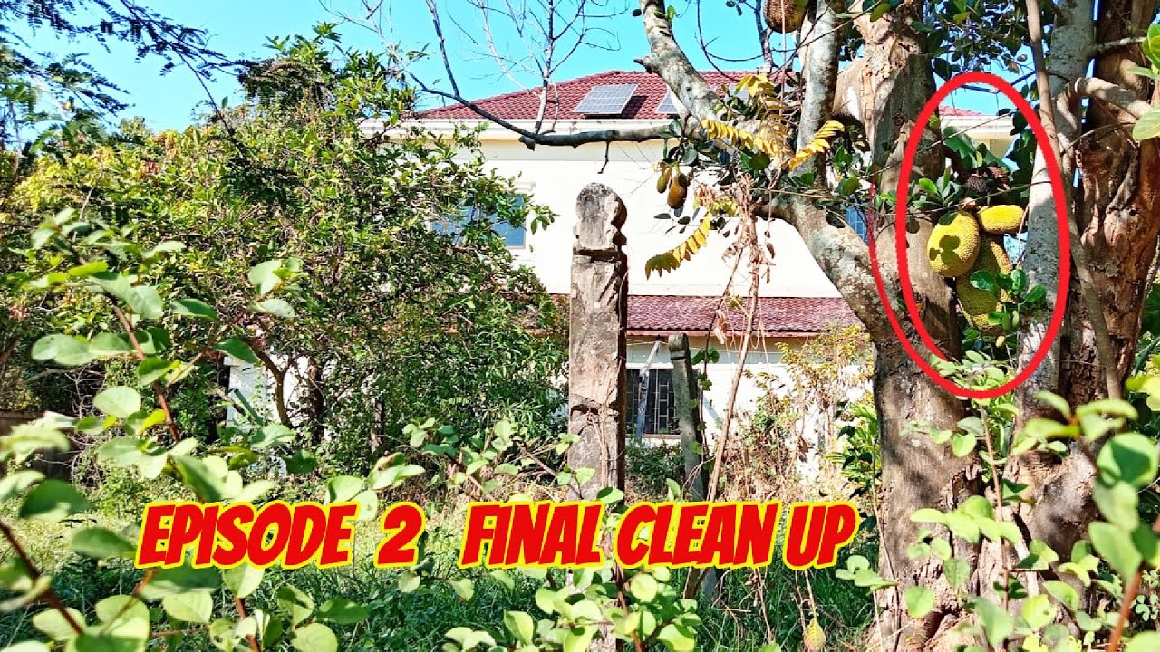 House Guarded by 2 Dogs | Part 2: A Sad Story of an Abandoned Home