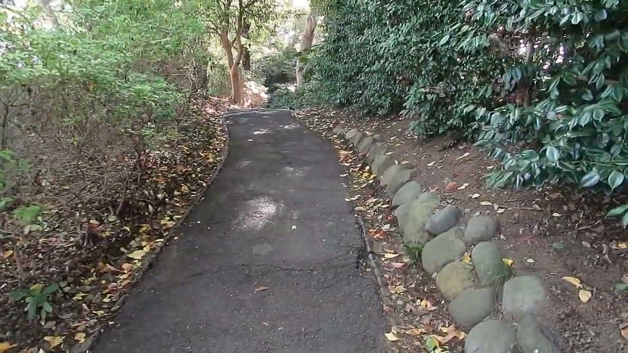 Tokyo Adventure 2025 Part 14 home Sweet Home