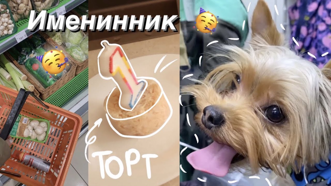 Покупки для наших собак || День Рождения у Джоя || ШОППИНГ 🛍