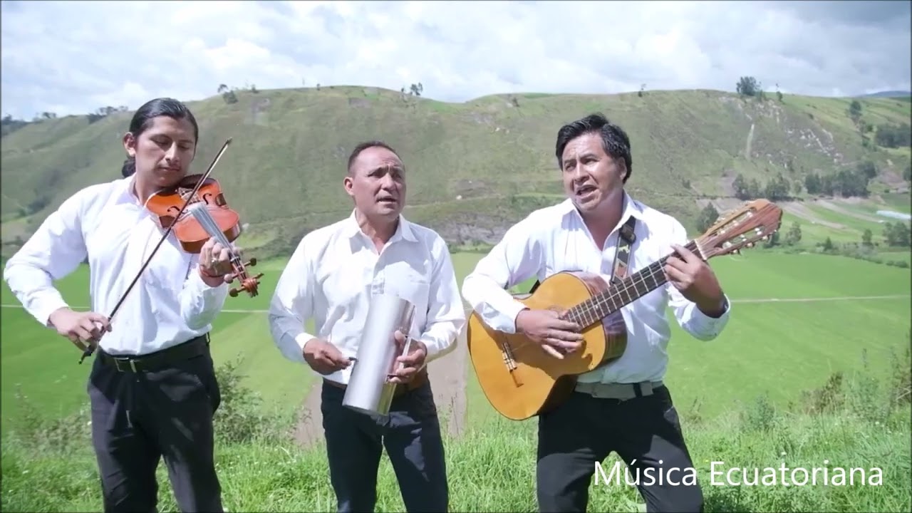 LOS CHAVITOS DE PÍLLARO Y SUS NUEVAS RAÍCES MIX 2
