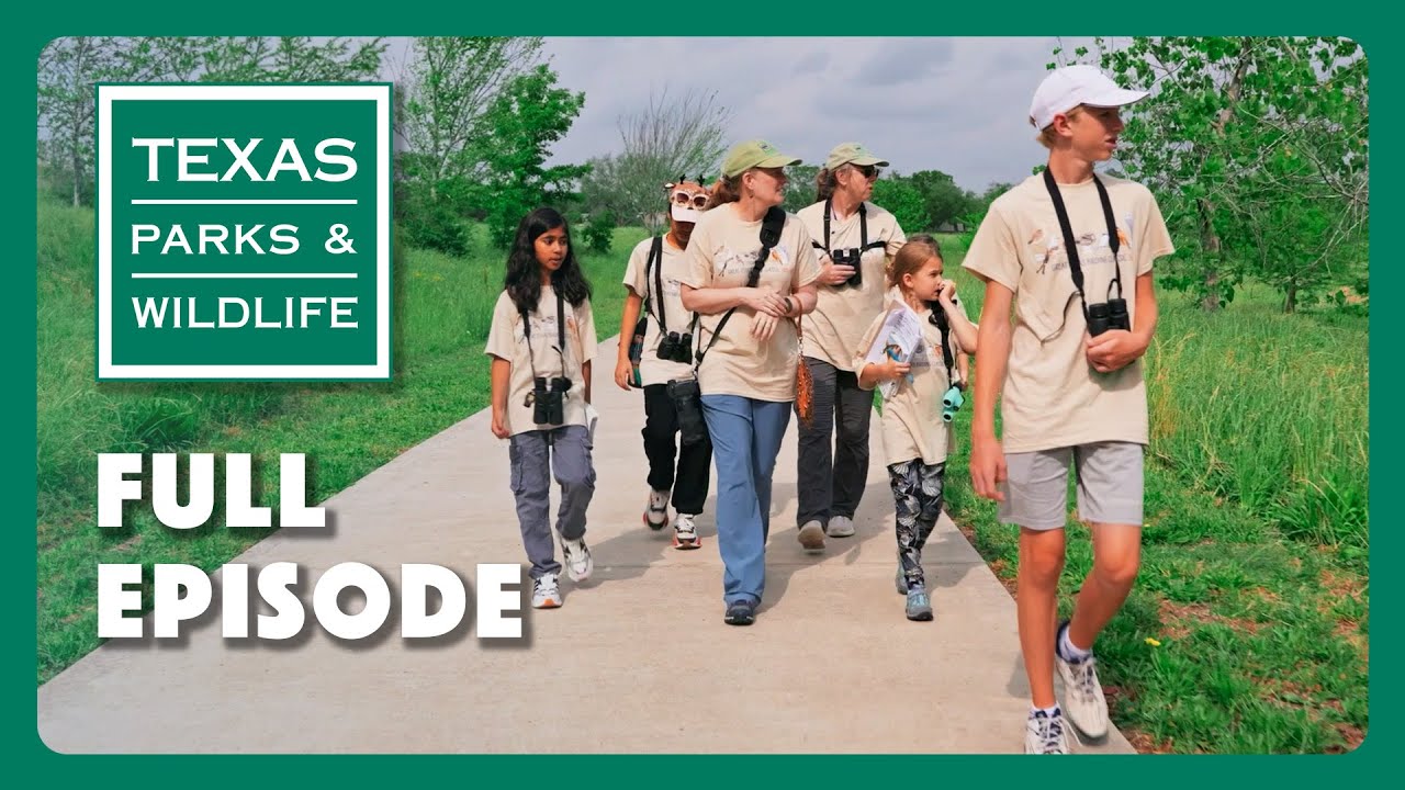 Bighorn Lambs, Fledgling Birders, Durable Design | Texas Parks & Wildlife Series (Full Episode)