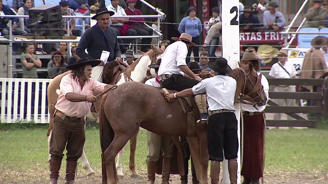 Basto Argentino Domingo 1/4 Criolla del Prado 2018