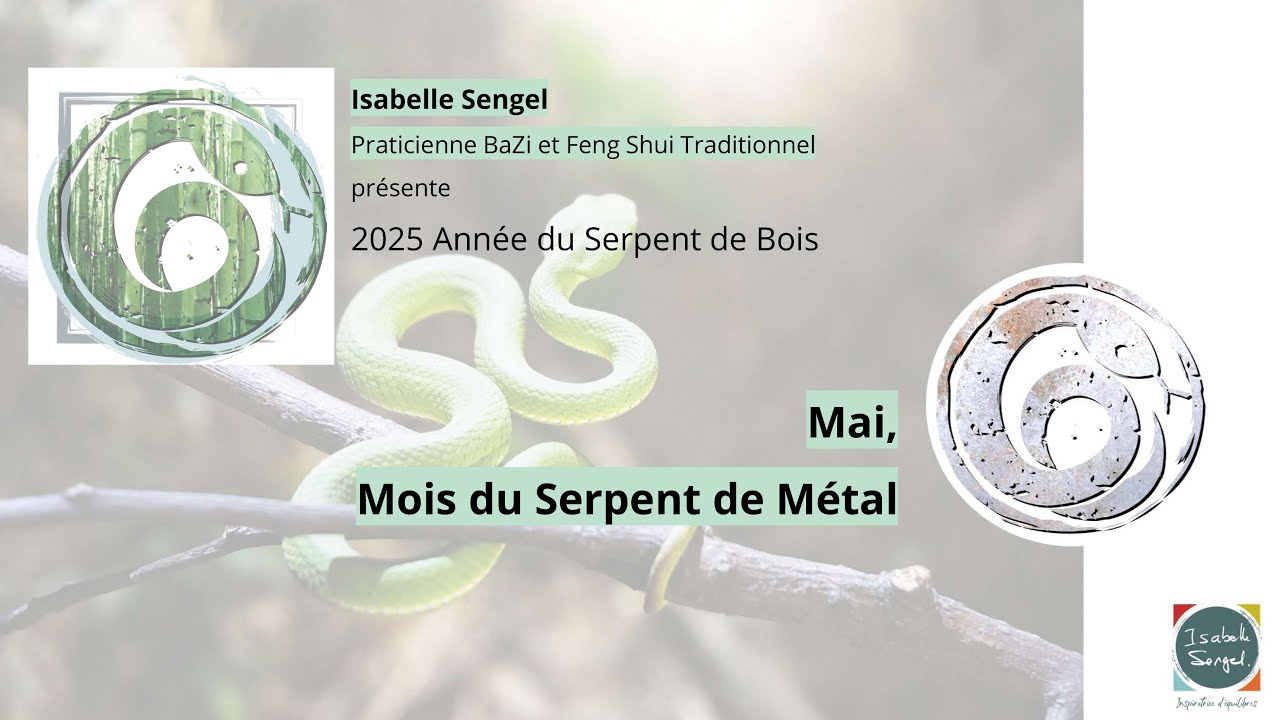 Mois du Serpent de Métal (mai 2025 : du 5/5 au 5/6/2025), présenté par Isabelle Sengel