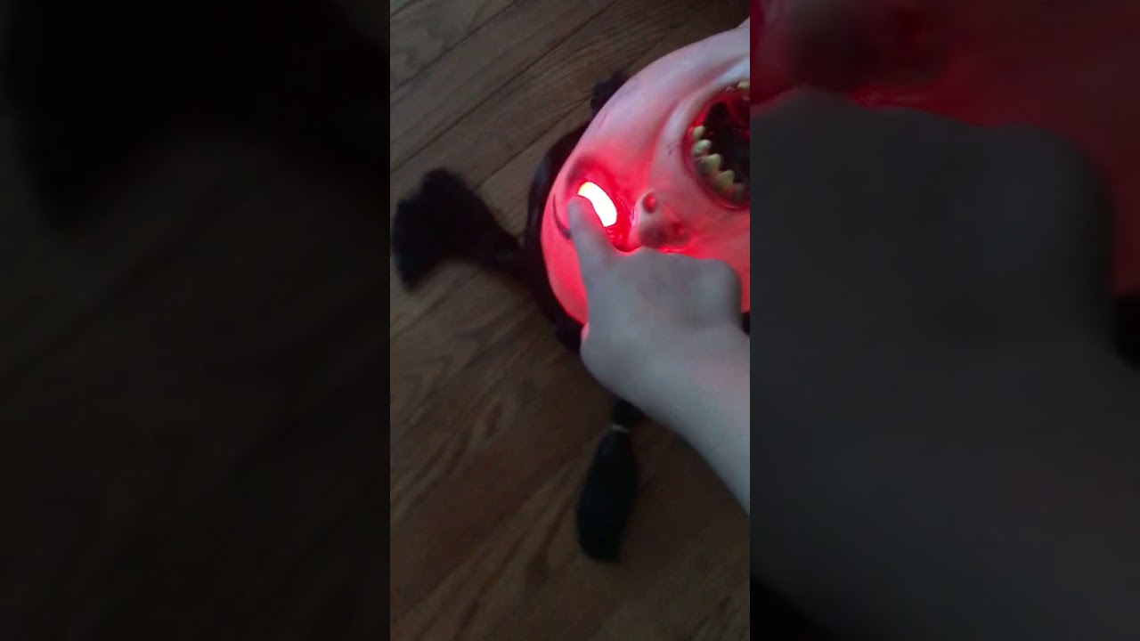 Review on Medicine molly￼