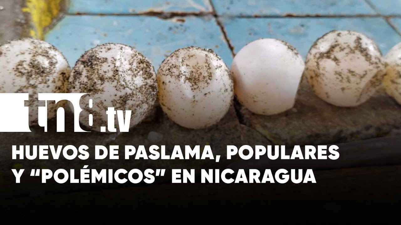 Una delicia «polémica»: Venta de huevos de Paslama en el Israel Lewites - Nicaragua