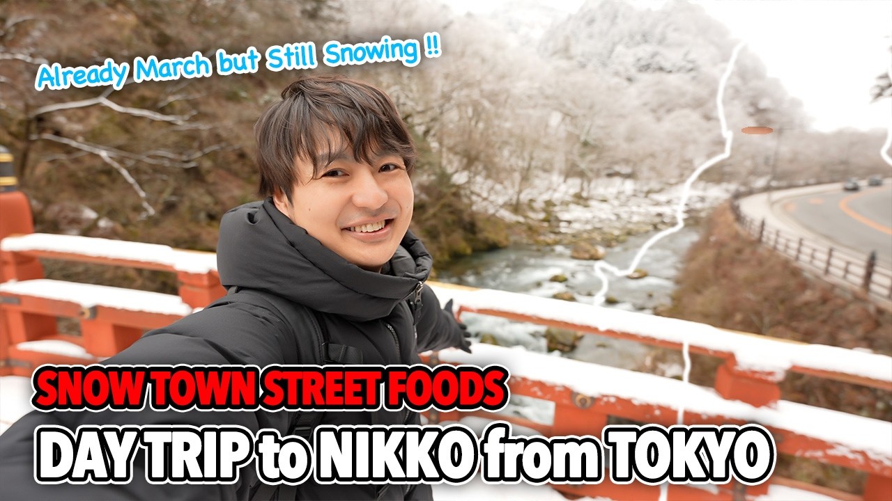 Luxury Train Ride from Tokyo to Nikko, Street Foods in Beautiful Snow Town and Snowy Shrine Ep.555